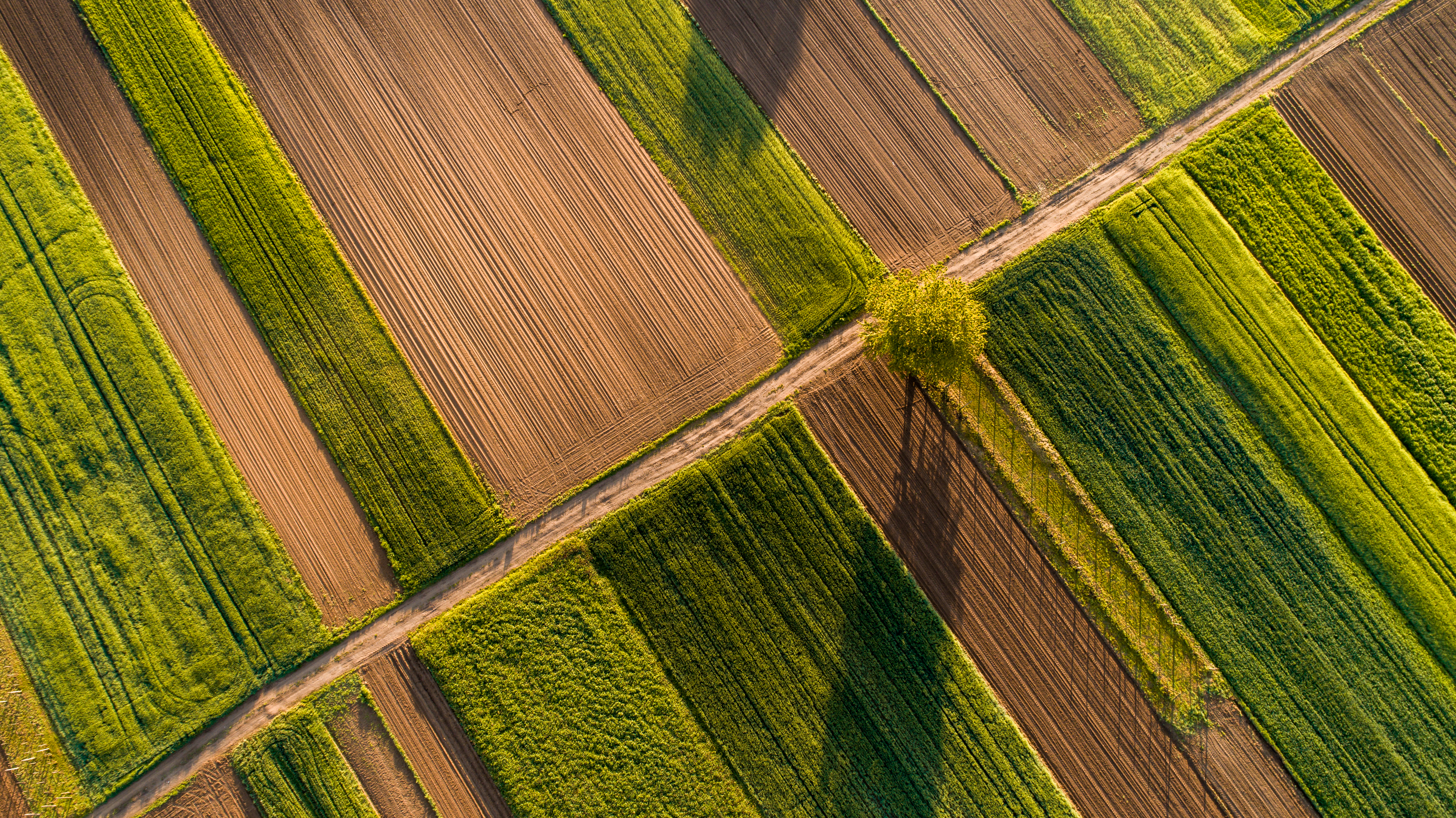 A farm field. Agriculture is one of the largest sources of U.S. methane emissions