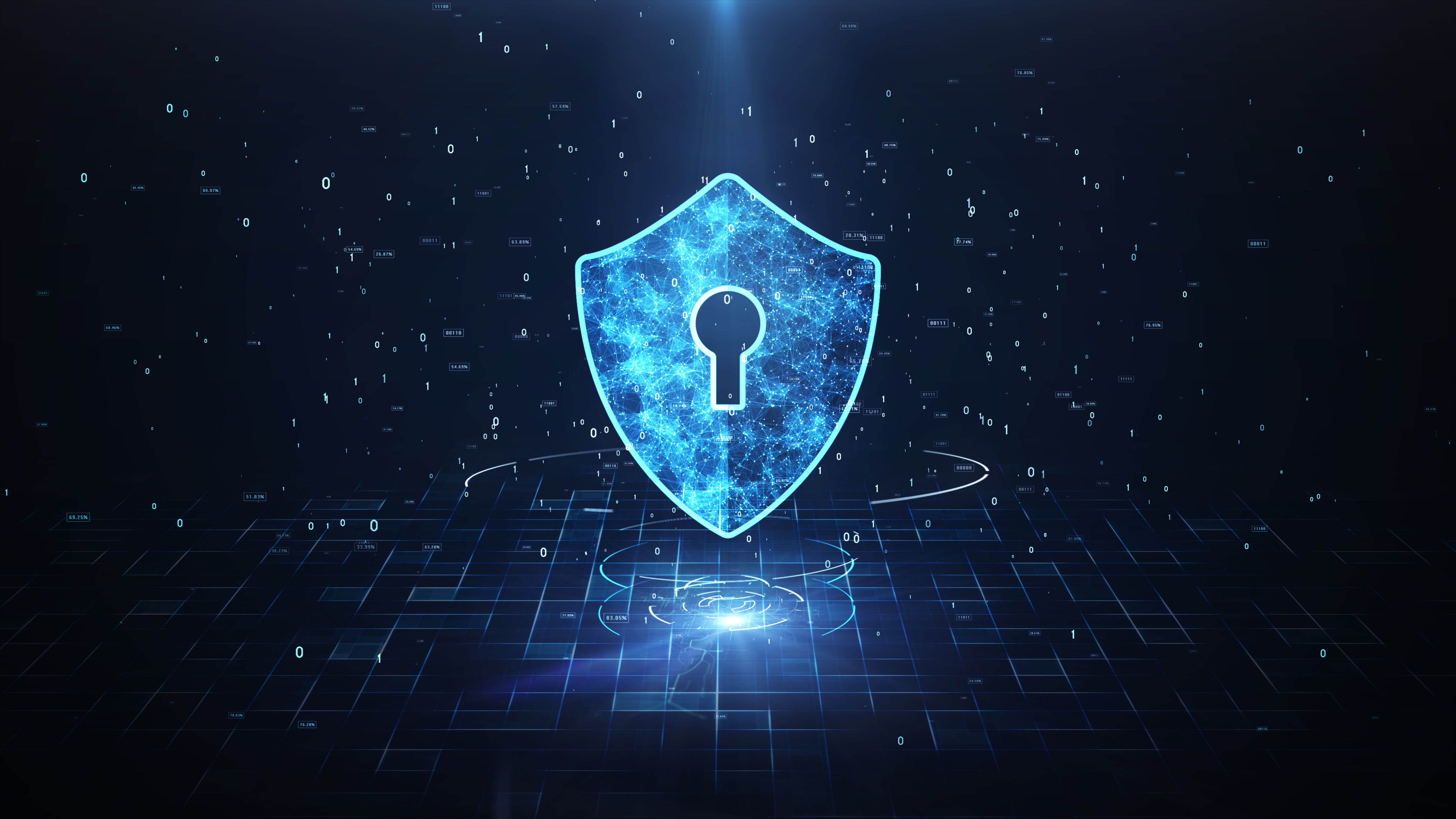 Cyber Security Lock