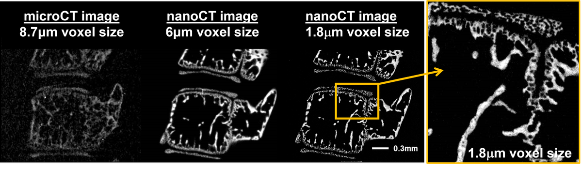 Waygate Technologies nanotom CT scan_2.png