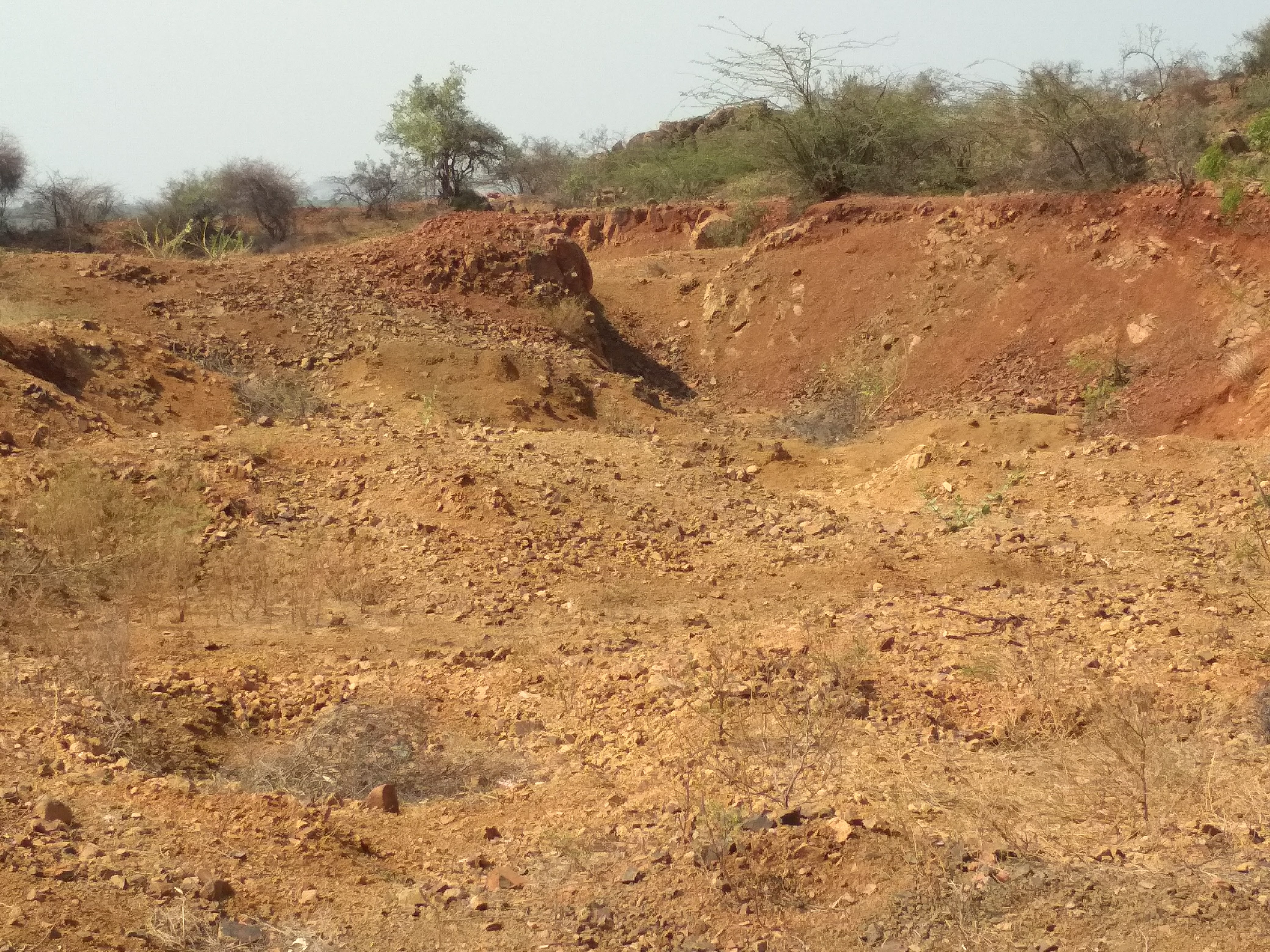 EFS_India project_degraded hillock