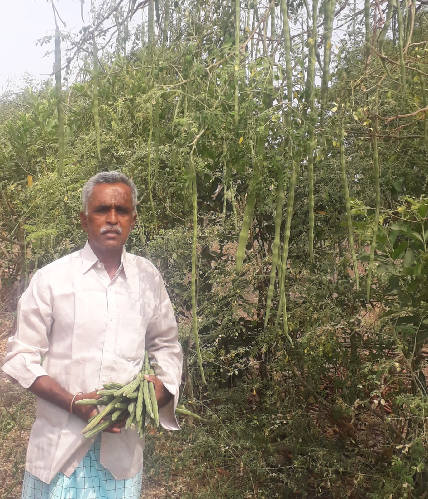 EFS_India project_farmer with crop