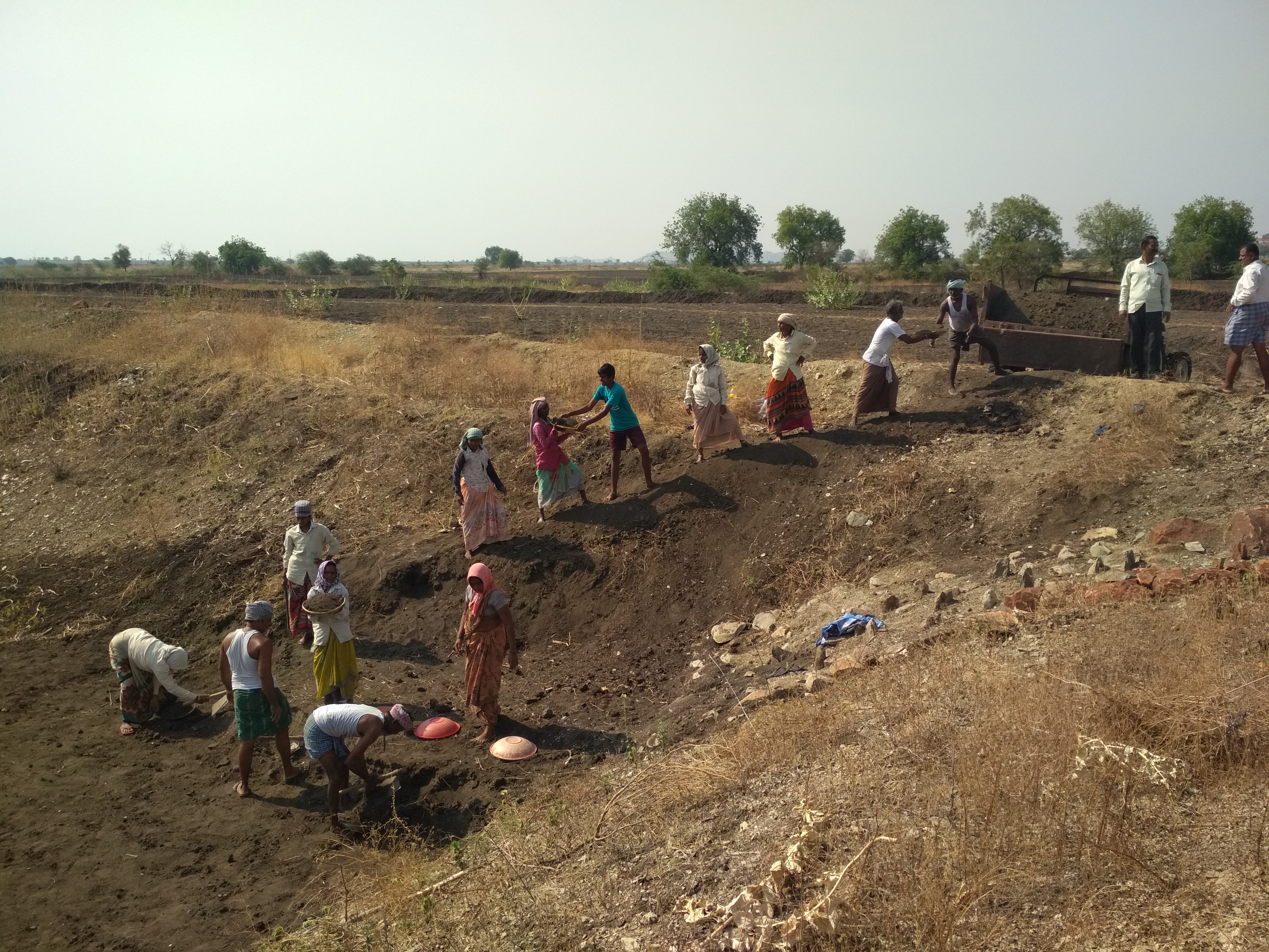 EFS_India project_farmers working on the project