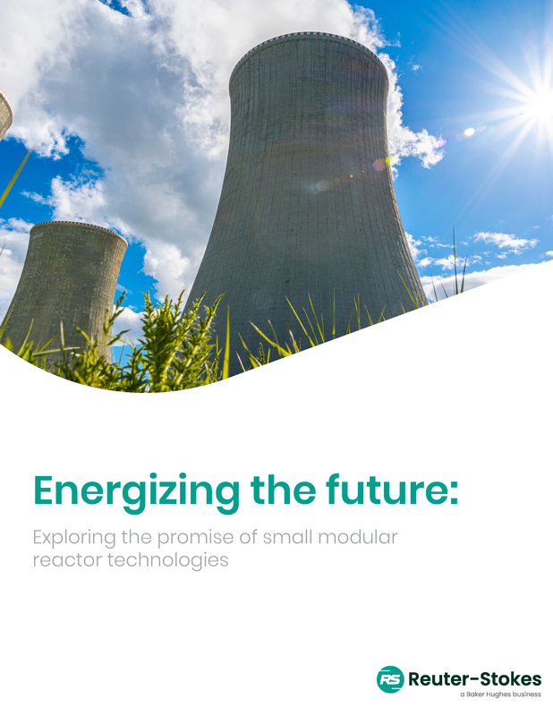 Energizing the future SMR white paper cover