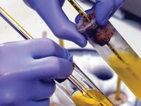 Photo of someone working in the lab.