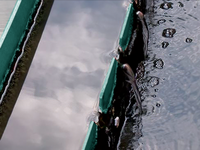 Wastewater treatment