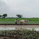 Putting corporate responsibility into climate action in the villages of India