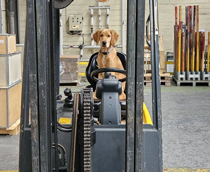 EFS_May2025_Vasco forklift landscape
