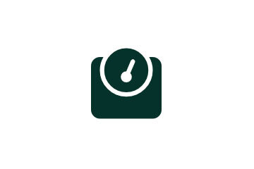 icon-scale