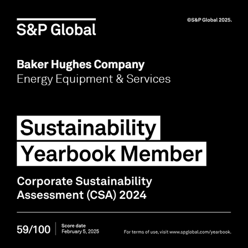 S&P Global Sustainability Yearbook Award