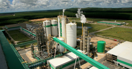 Pulp and Paper Industry Plant
