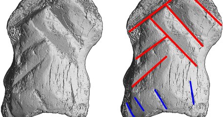 micro ct scan unicorn cave art