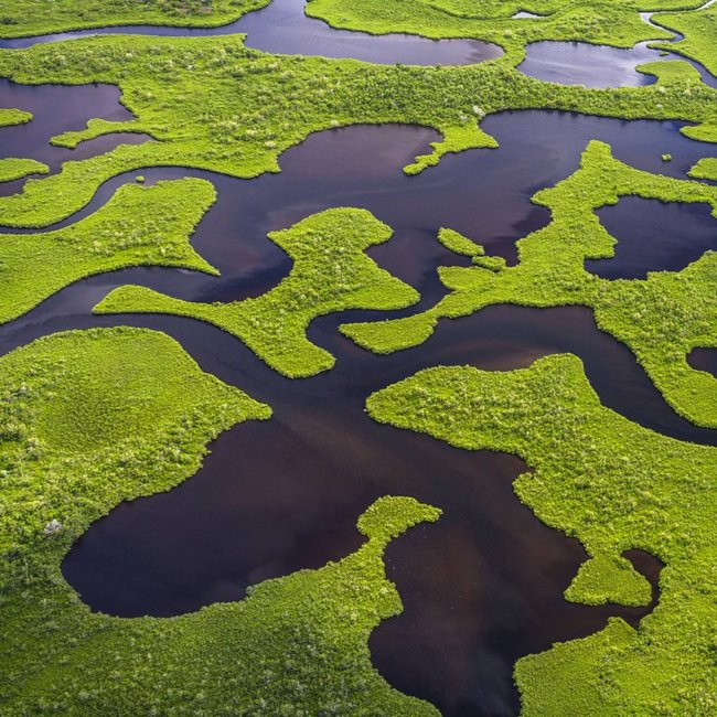 Green on ocean 2