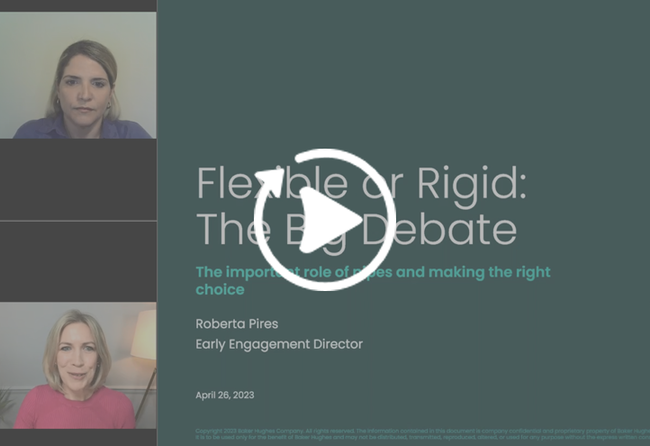 Flexible vs Rigid on-demand webinar screenshot