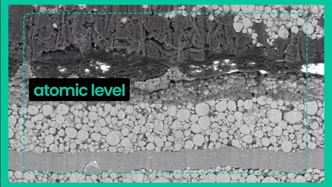 Microscopy Image