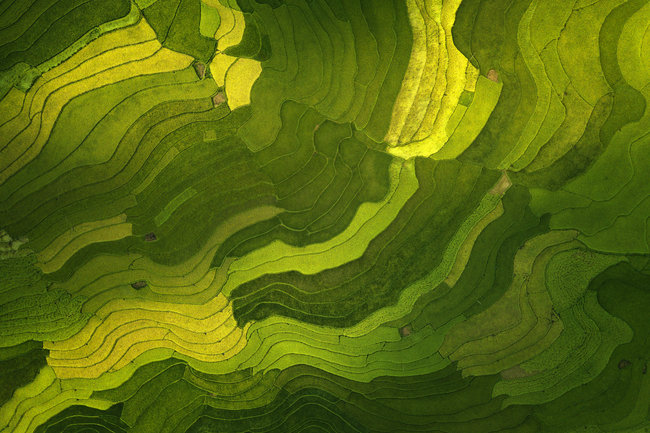 Cordant Energy and Sustainability