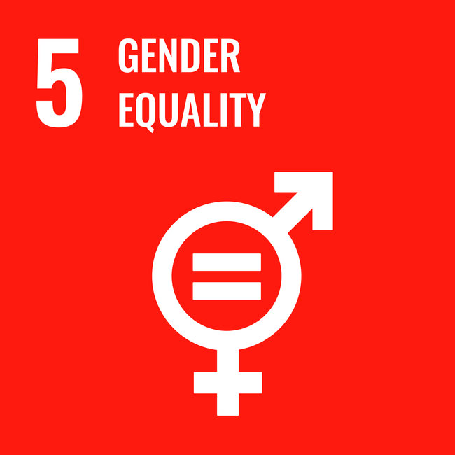 U.N. S.D.G. 5 Gender Equality