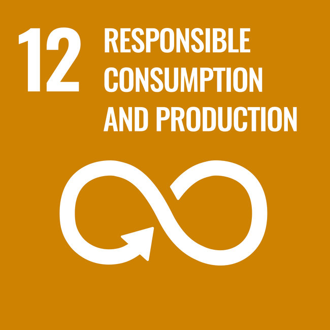 U.N. S.D.G. 12 Responsible consumption and production
