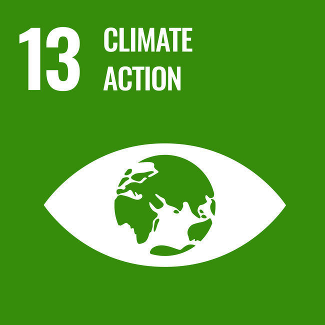 U.N. S.D.G 13 Climate action