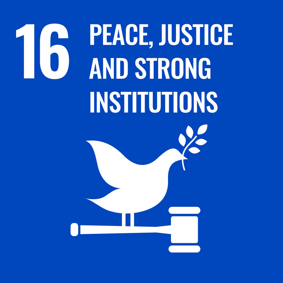 U.N. S.D.G. 16 Peace, Justice and Strong Institutions
