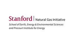 Stanford NG Initiative