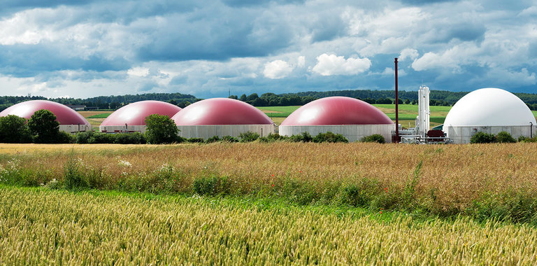 Biogas Panametrics