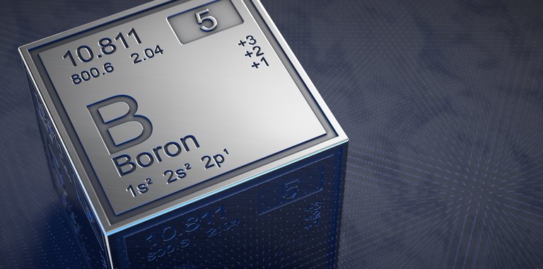 Boron-10 Lined Proportional Neutron Detectors