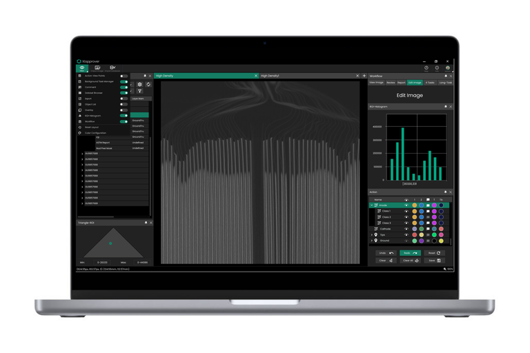 InspectionWorks Analyze