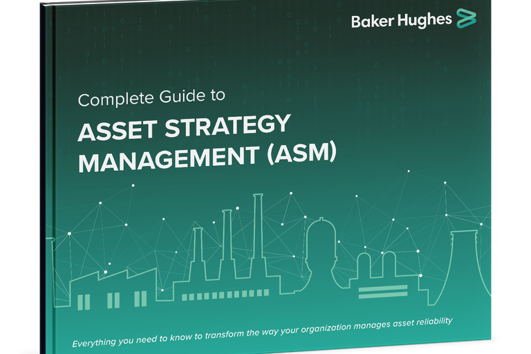 Complete Guide to ASM