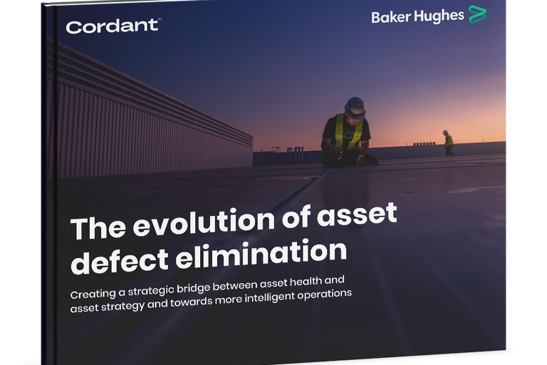 The Evolution of Asset Defect Elimination