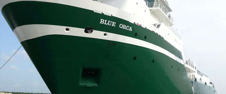 Blue Orca Ship
