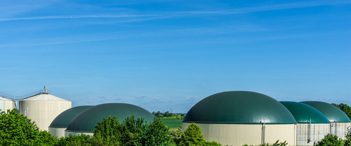 Panametrics Biogas