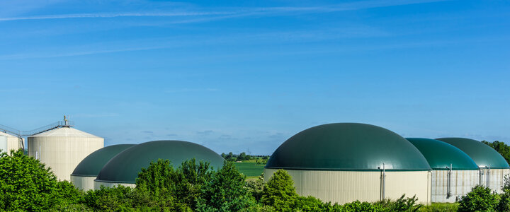 Panametrics Biogas